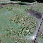 Смывка для старой краски