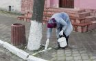Благоустройство территории