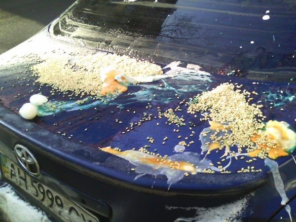 Разбитые куриные яйца на капоте авто
