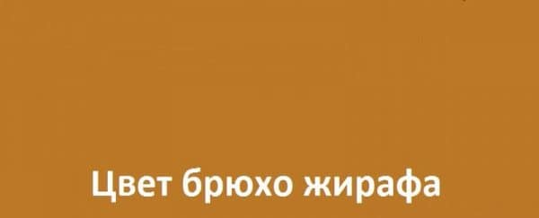 Цвет жирафье брюхо