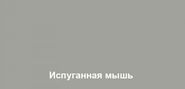 Цвет испуганная мышь