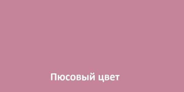 Цвет розовый палитра пюсовый