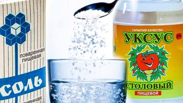 Уксус и соль для защиты от грибка и гнили